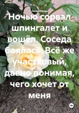 Обложка книги «Ночью сорвал шпингалет и вошёл. Соседа боялась. Всё же участковый, давно понимая, чего хочет от меня»