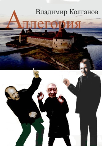 Обложка книги «Аллегория»