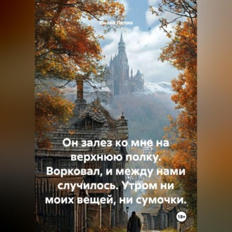 Обложка книги «Он залез ко мне на верхнюю полку. Ворковал, и между нами случилось. Утром ни моих вещей, ни сумочки.»