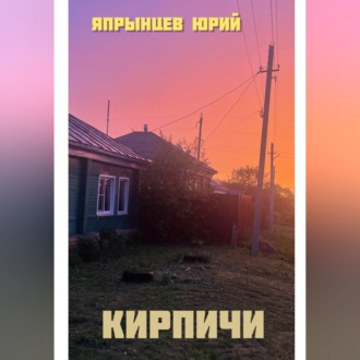 Обложка книги «Кирпичи»