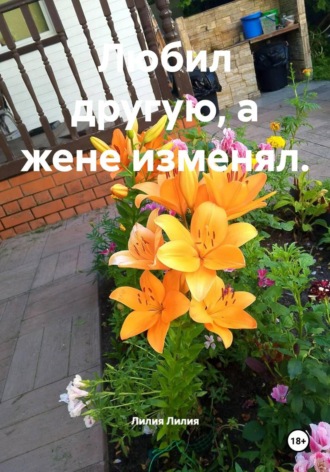 Обложка книги «Любил другую, а жене изменял»