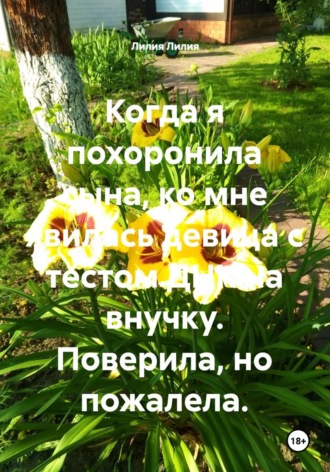 Обложка книги «Когда я похоронила сына, ко мне явилась девица с тестом ДНК на внучку. Поверила, но пожалела»