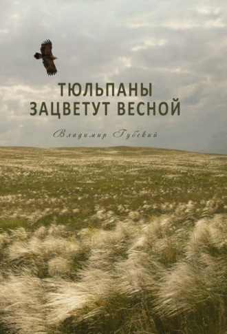 Обложка книги «Тюльпаны зацветут весной»