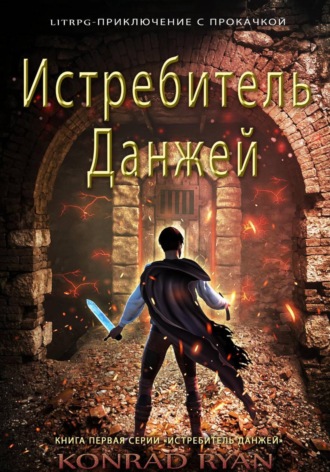 Обложка книги «Истребитель Данжей»