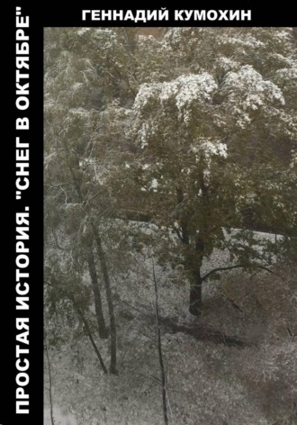 Обложка книги «Простая история. "Снег в октябре"»