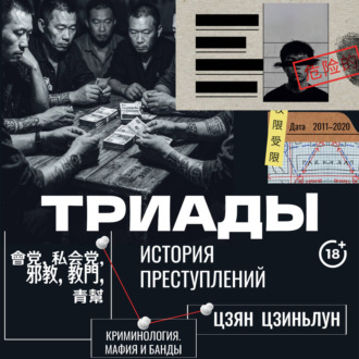 Обложка книги «Триады. История преступлений»