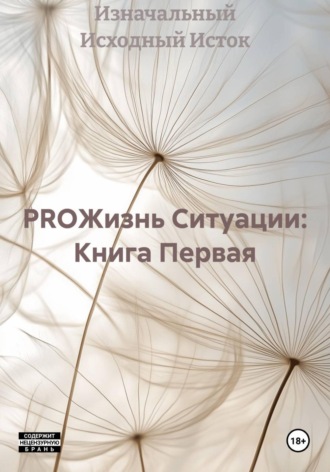 Обложка книги «PROЖизнь Ситуации: Книга Первая»