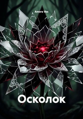 Обложка книги «Осколок»