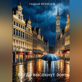 Обложка книги «Когда высохнут зонты»