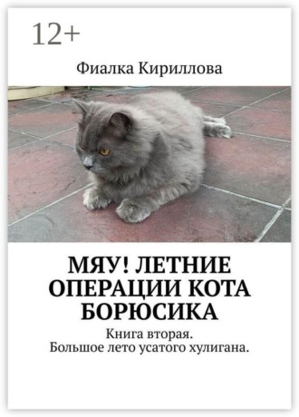Обложка книги «Мяу! Летние операции кота Борюсика. Книга вторая. Большое лето усатого хулигана.»