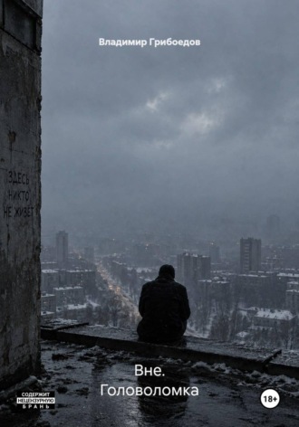 Обложка книги «Вне. Головоломка»