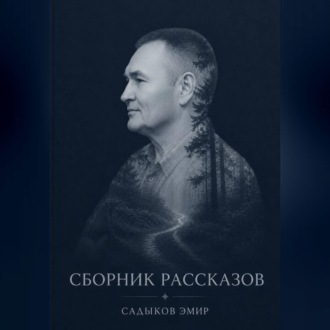 Обложка книги «СБОРНИК РАССКАЗОВ»