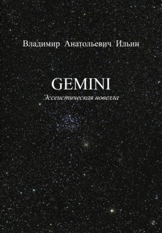 Обложка книги «GEMINI. Эссеистическая новелла»