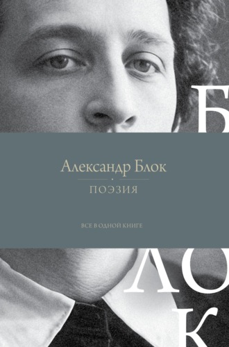 Обложка книги «Поэзия. Все в одной книге»