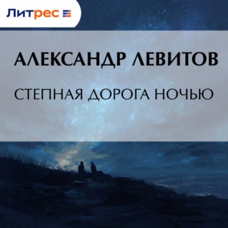 Обложка книги «Степная дорога ночью»