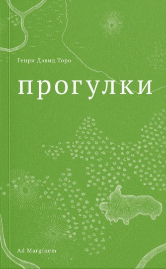 Обложка книги «Прогулки»