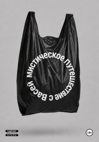 Обложка книги «МИСТИЧЕСКОЕ ПУТЕШЕСТВИЕ С ВАСЕЙ»