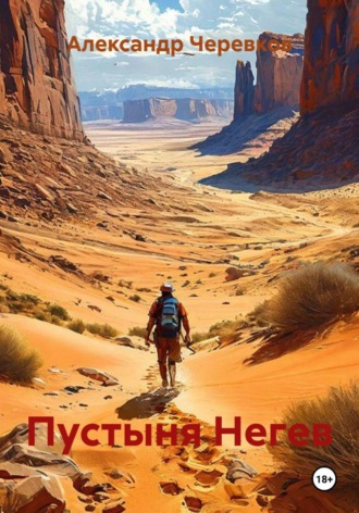 Обложка книги «Пустыня Негев»