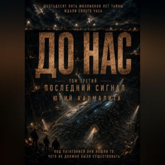 Обложка книги «ДО НАС. ТОМ 3»