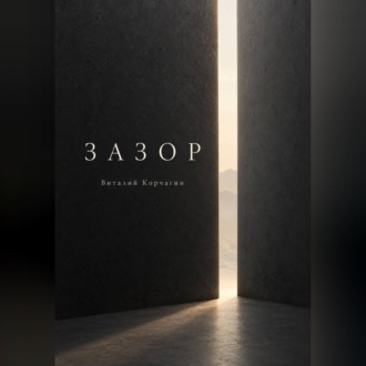 Обложка книги «Зазор»