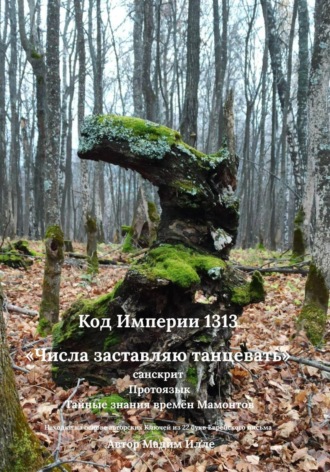 Обложка книги «Код Империи 1313. «Числа заставляю танцевать» — санскрит. Протоязык. Тайные знания времён Мамонтов»