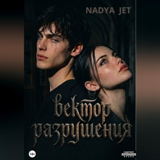 Обложка книги «Вектор разрушения»