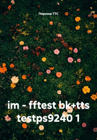 Обложка книги «im - fftest bk+tts testps9240 1»