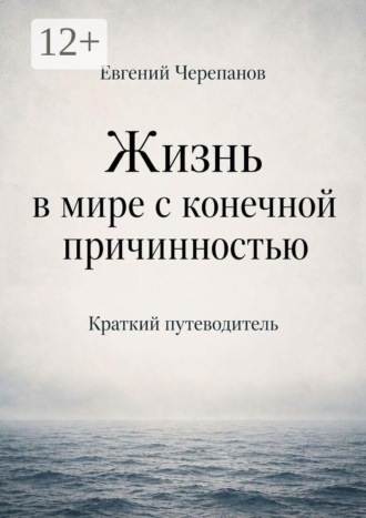 Обложка книги «Жизнь в мире с конечной причинностью. Краткий путеводитель»