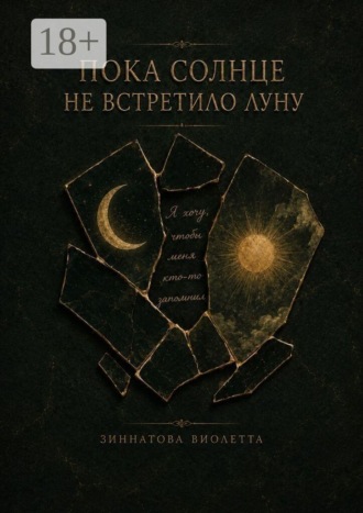 Обложка книги «Пока солнце не встретило луну»
