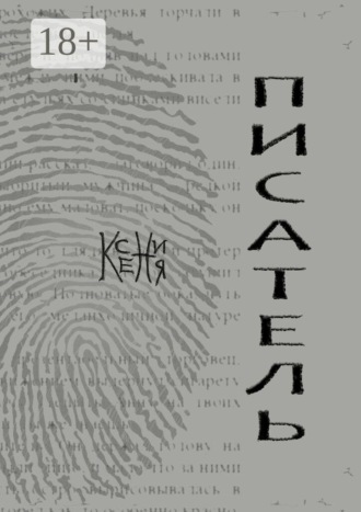 Обложка книги «Писатель»
