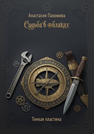Обложка книги «Судьба в облаках: Тонкая пластина»