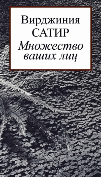 Обложка книги «Множество ваших лиц»