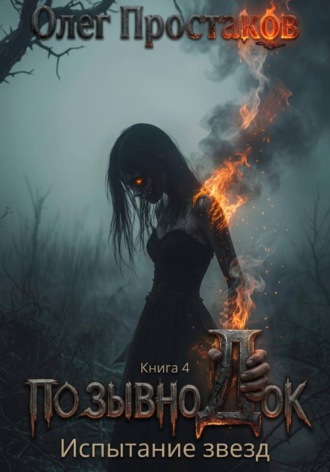 Обложка книги «Позывной ДОК. Книга 4»