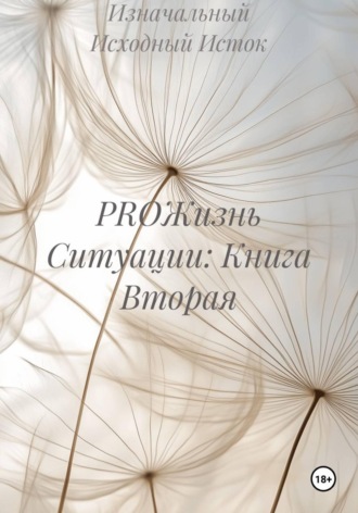 Обложка книги «PROЖизнь Ситуации: Книга Вторая»