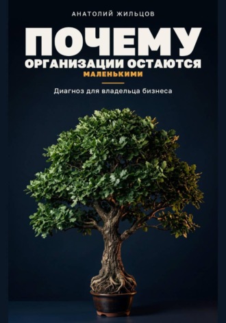 Обложка книги «Почему организации остаются маленькими»