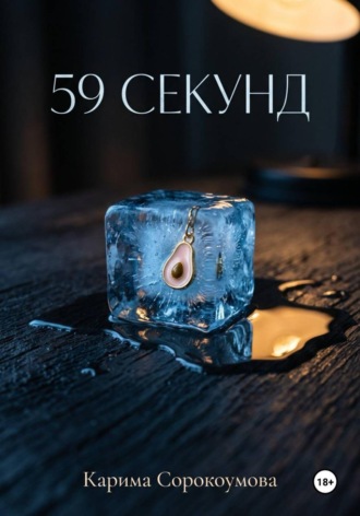 Обложка книги «59 секунд»