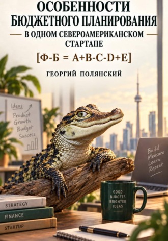 Обложка книги «Особенности бюджетного планирования в одном североамериканском стартапе»