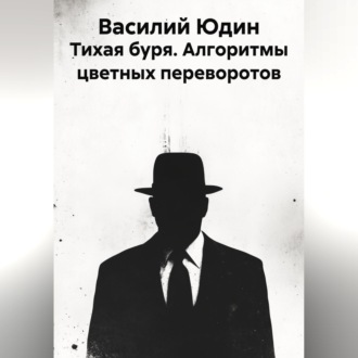 Обложка книги «Тихая буря. Алгоритмы цветных переворотов»