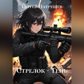 Обложка книги «Стрелок - Тень»