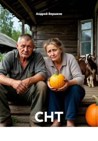 Обложка книги «СНТ»