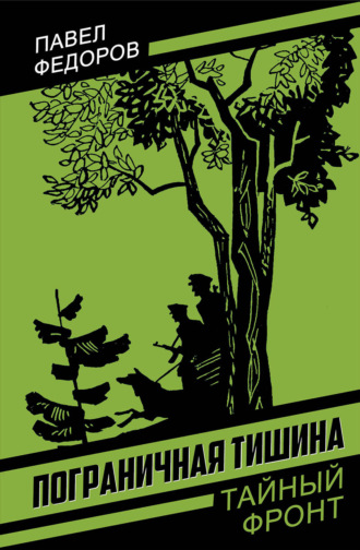 Обложка книги «Пограничная тишина»