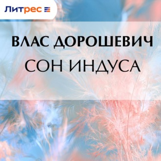 Обложка книги «Сон индуса»
