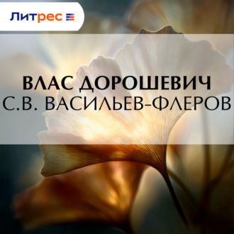 Обложка книги «С.В. Васильев-Флеров»