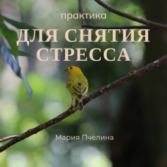 Обложка книги «Практика для снятия стресса»