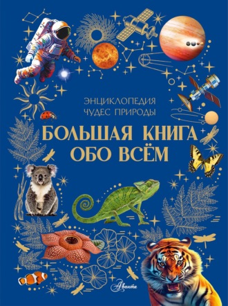 Обложка книги «Большая книга обо всём»