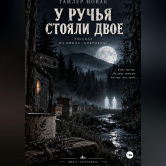 Обложка книги «У ручья стояли двое»