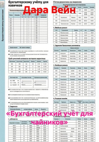Обложка книги ««Бухгалтерский учёт для чайников»»