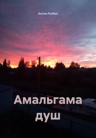 Обложка книги «Амальгама душ»