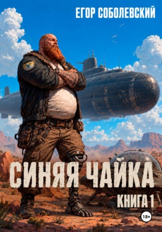 Обложка книги «Синяя чайка»