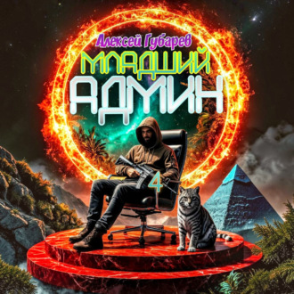 Обложка книги «Младший админ»